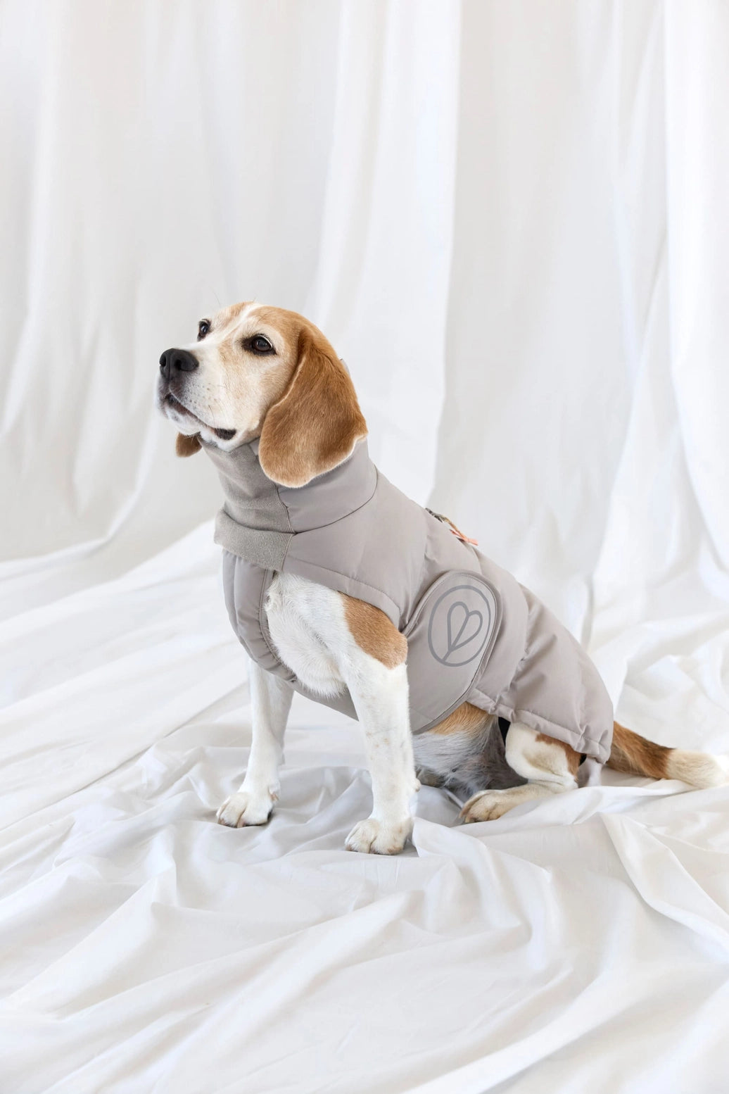 Palopa Hundemantel Nolia DACKEL Taupe (Lang)