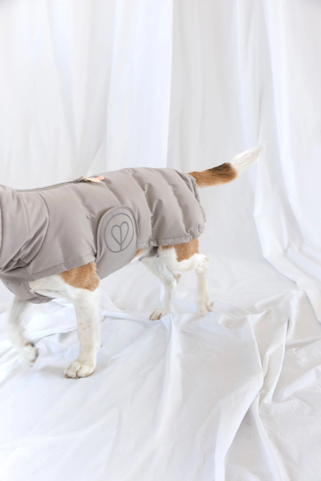 Palopa Hundemantel Nolia DACKEL Taupe (Lang)