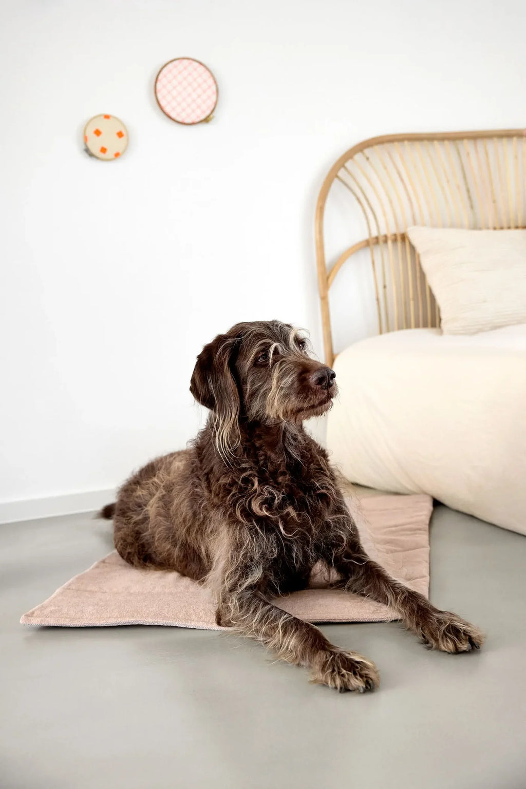 Palopa Hundematte Alma Rosa