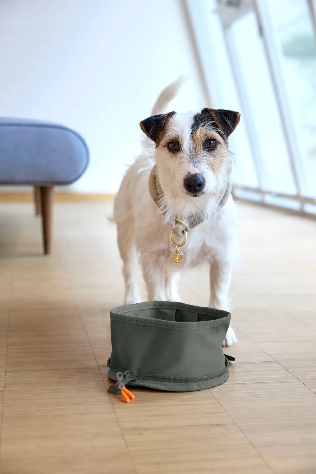 Palopa Dog Bowl To Go Tura Dark Green