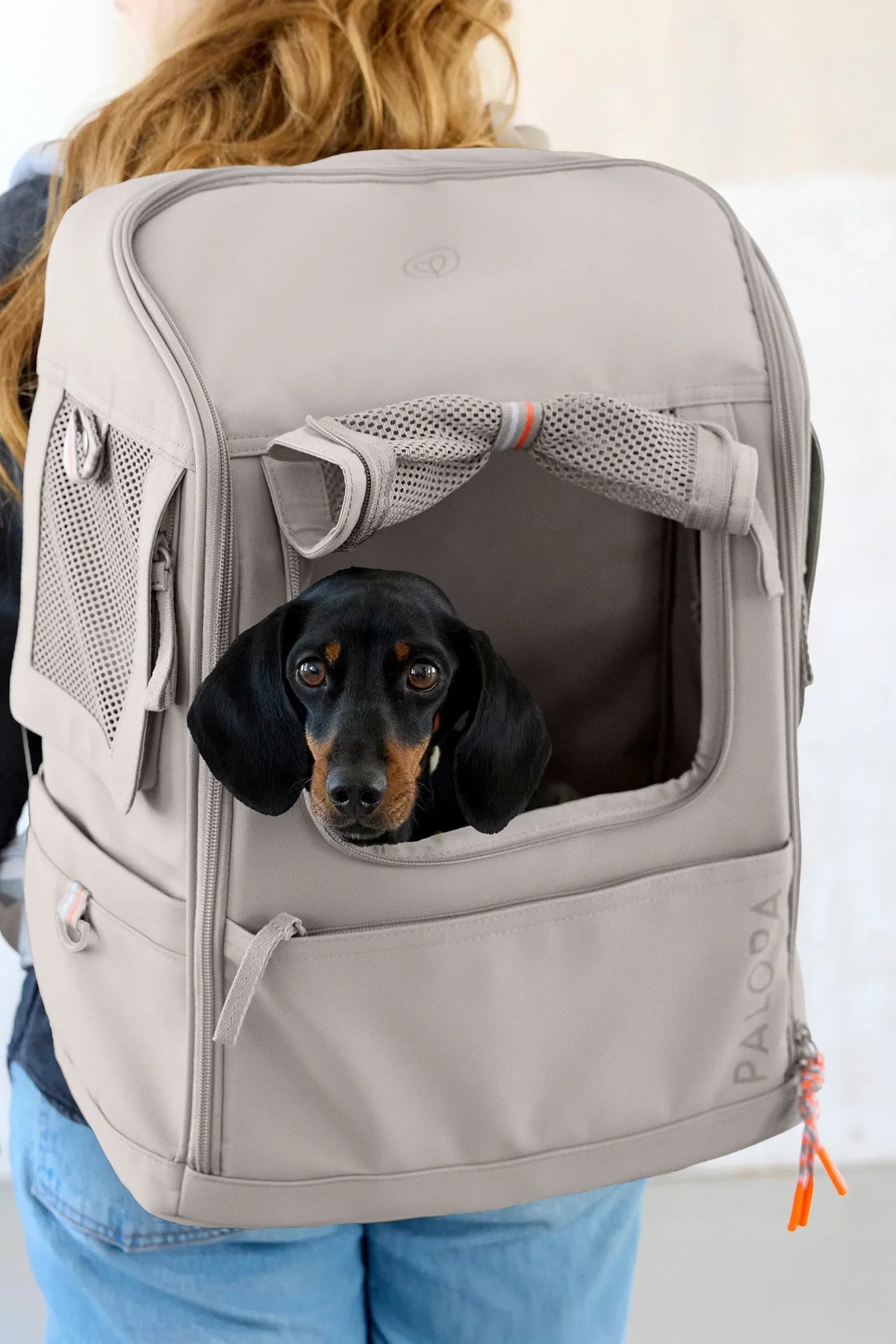 Palopa Hunderucksack Kari Taupe