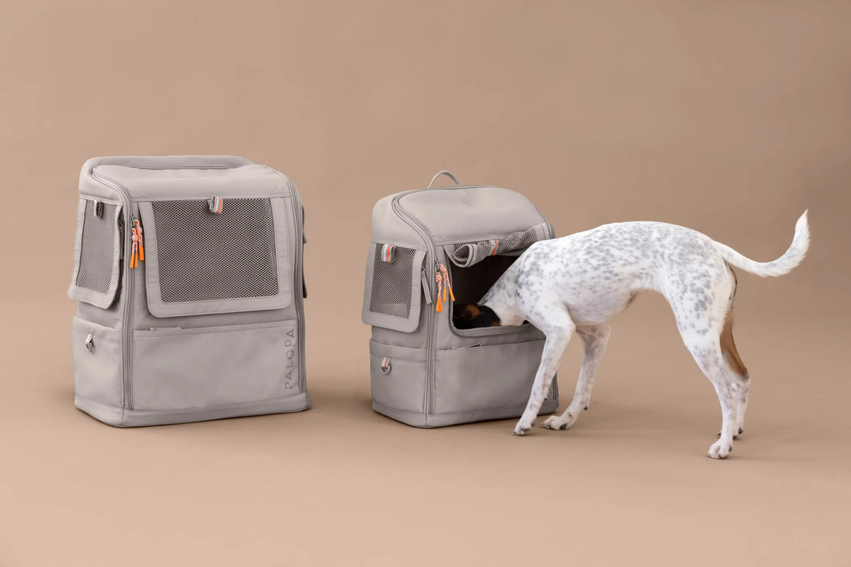 Palopa Hunderucksack Kari Taupe