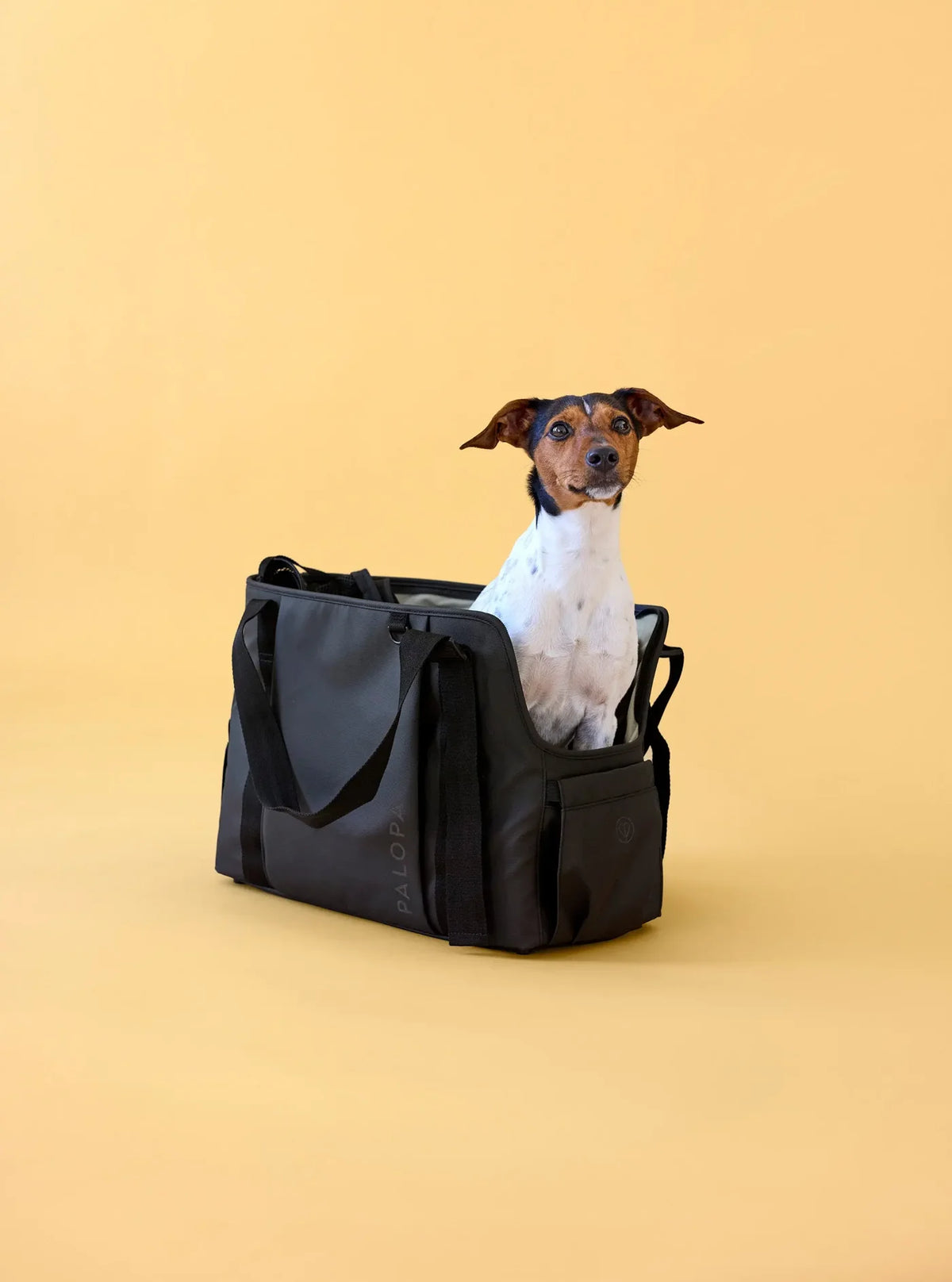 Palopa Hundetasche Weda Schwarz