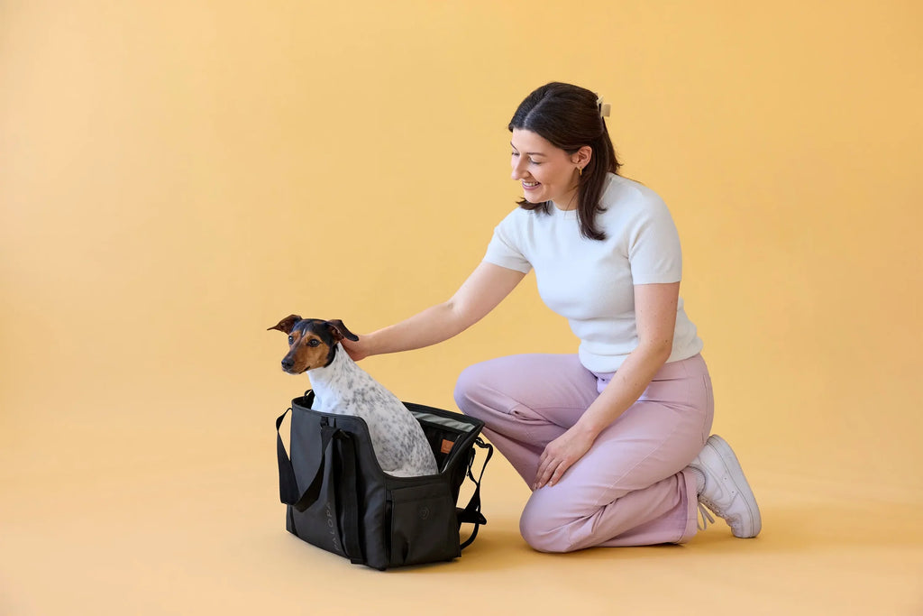 Palopa Hundetasche Weda Schwarz
