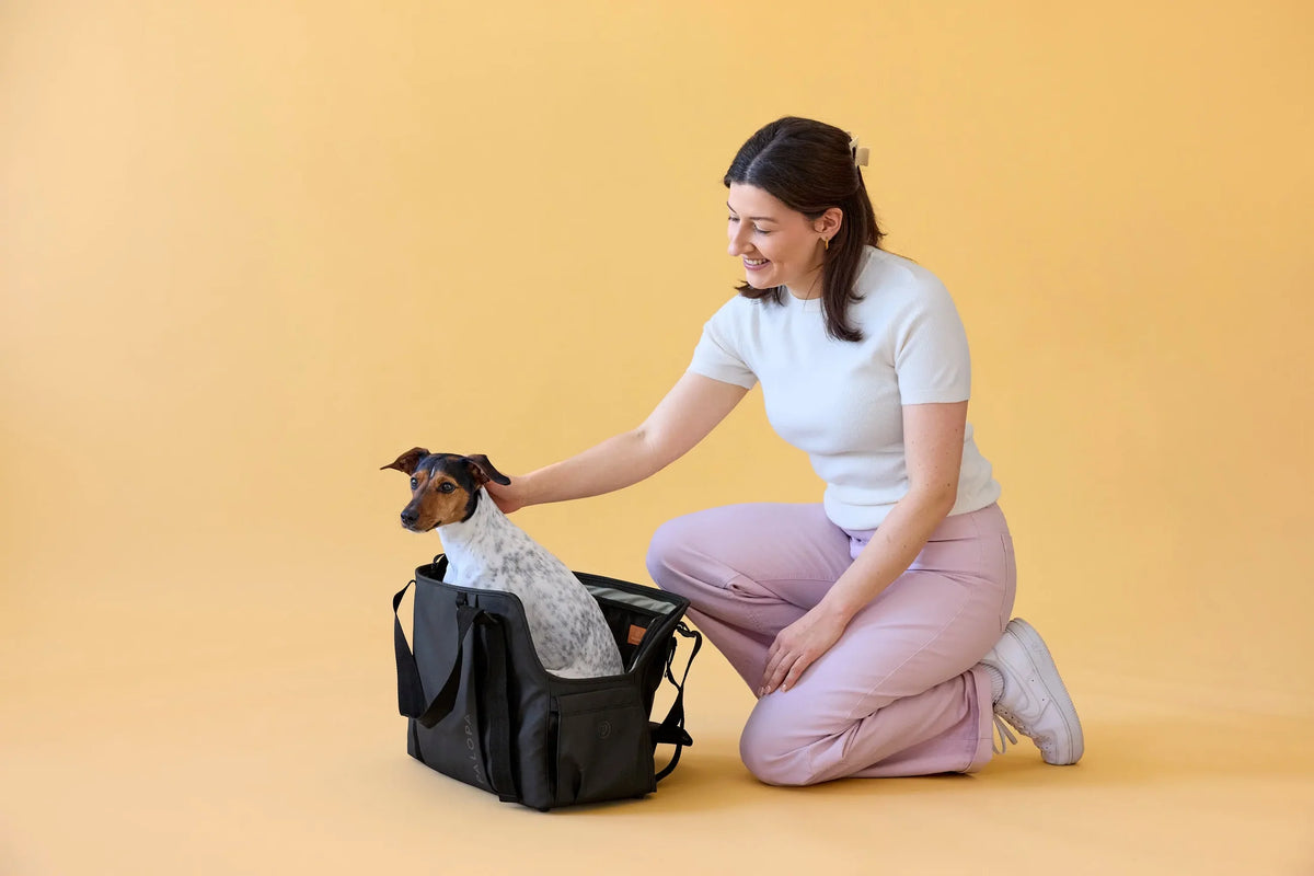 Palopa Hundetasche Weda Schwarz