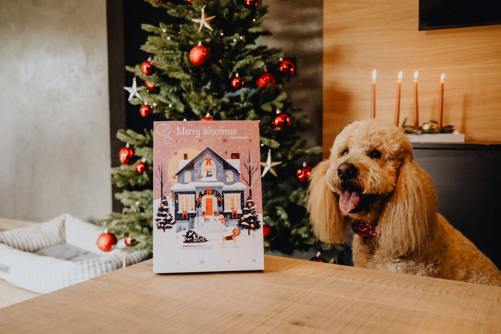 Pets Best Hypoallergenic Advent Calendar