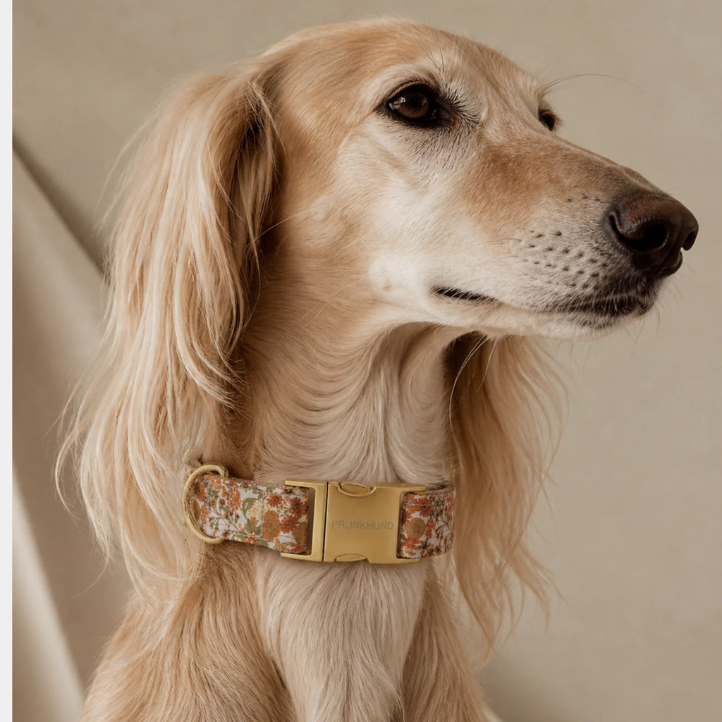 Prunkhund Halsband Fiore
