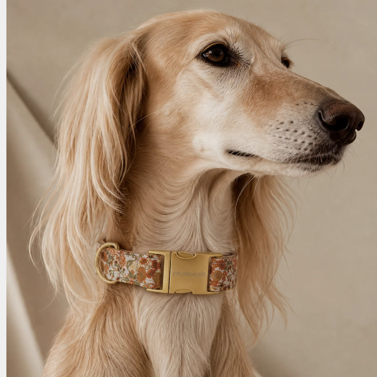 Prunkhund Halsband Fiore