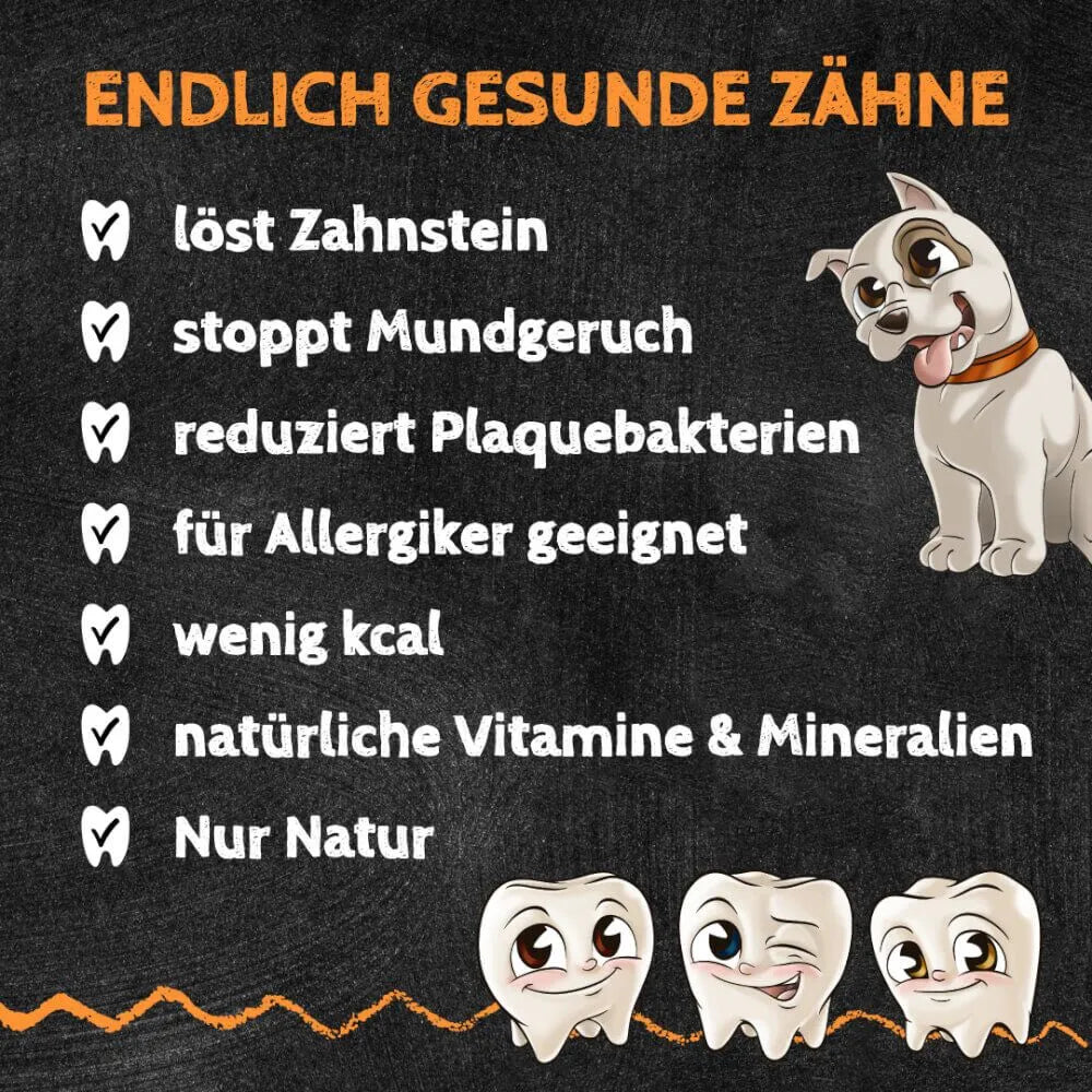QCHEFS Zahnputzflocken