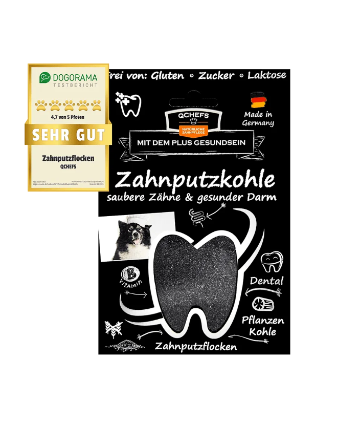 QCHEFS Dental Charcoal