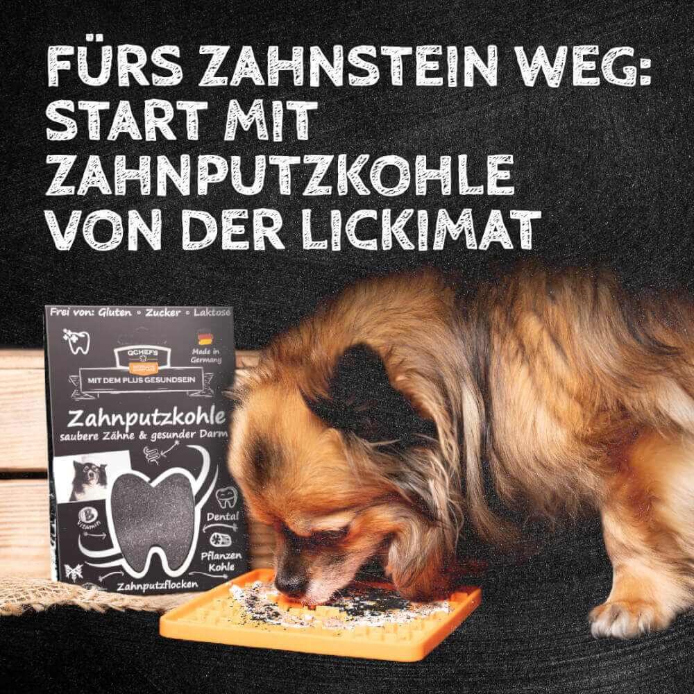 QCHEFS Dental Charcoal