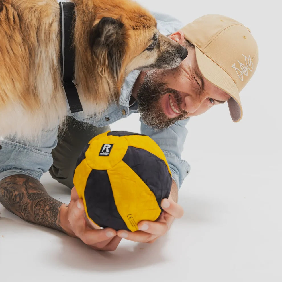 Redoggo Ball Yellow
