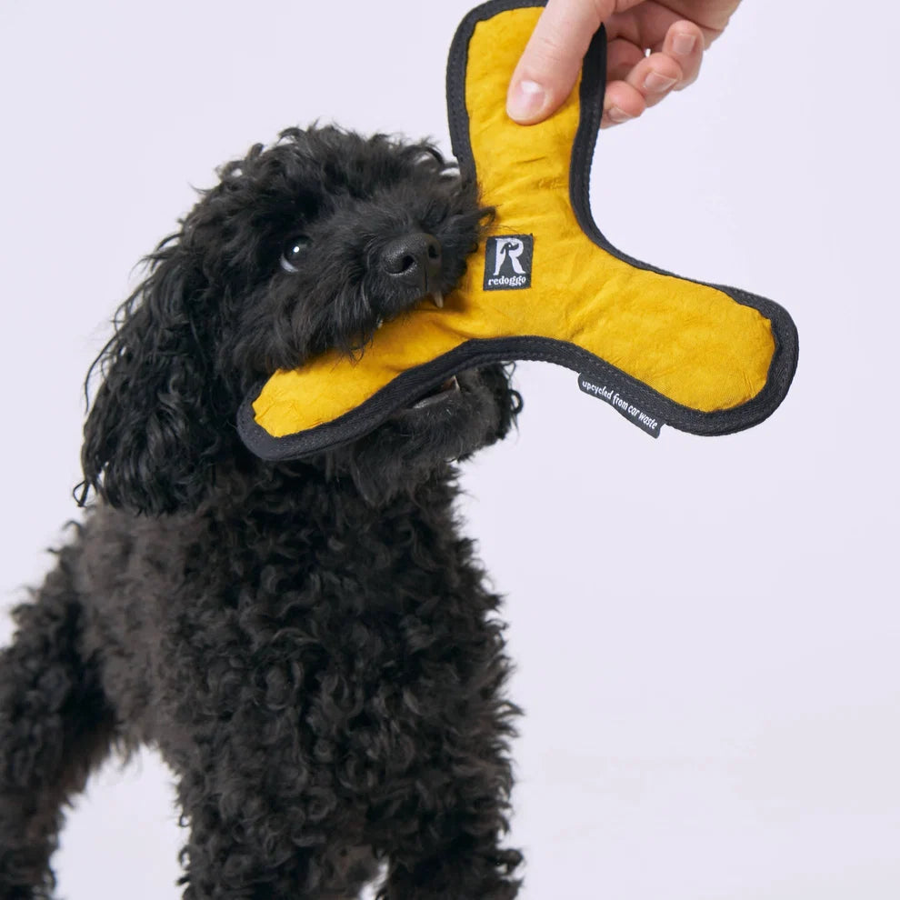 Redoggo Boomerang