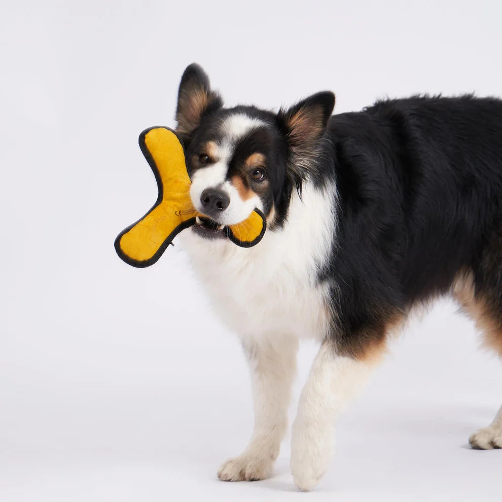 Redoggo Boomerang