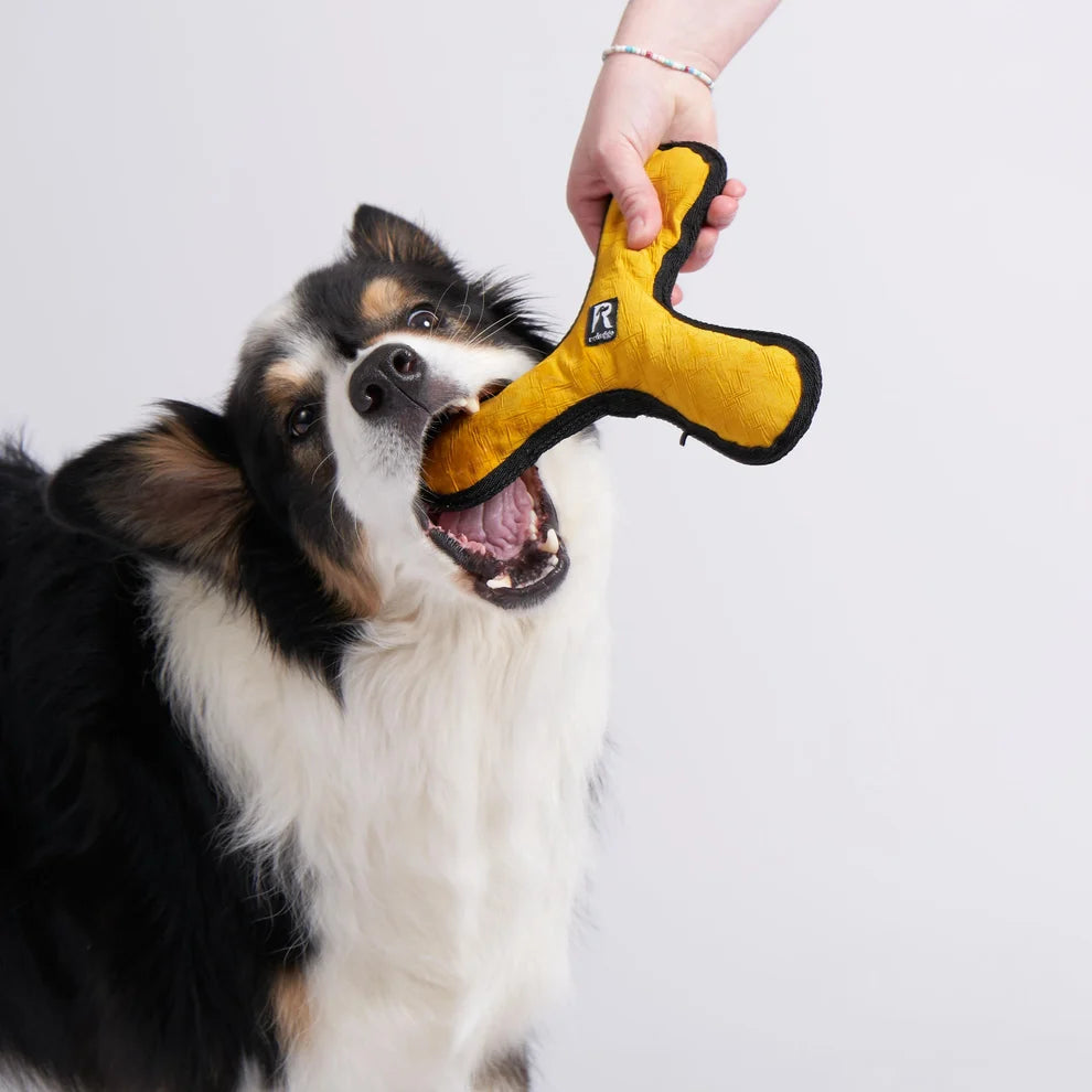 Redoggo Boomerang