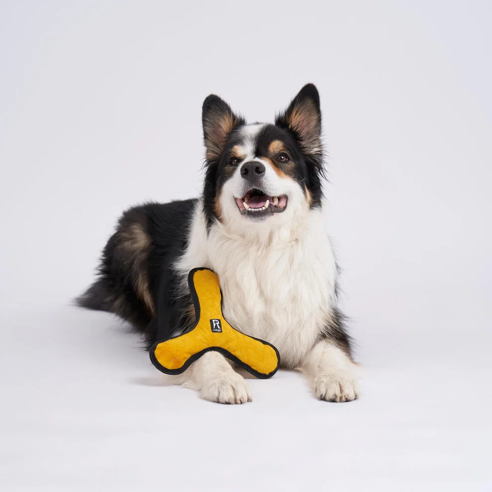 Redoggo Boomerang
