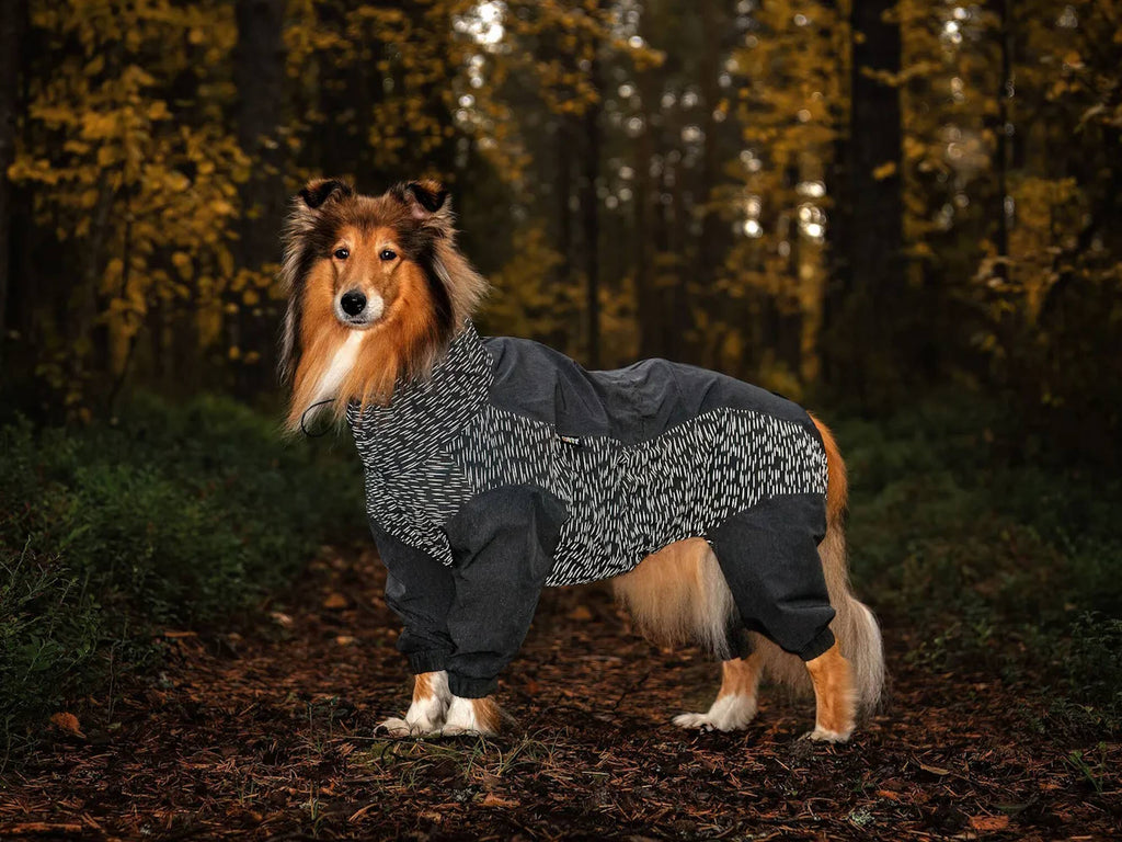 Rukka Pets Hundemantel Regen Overall Flash Grau