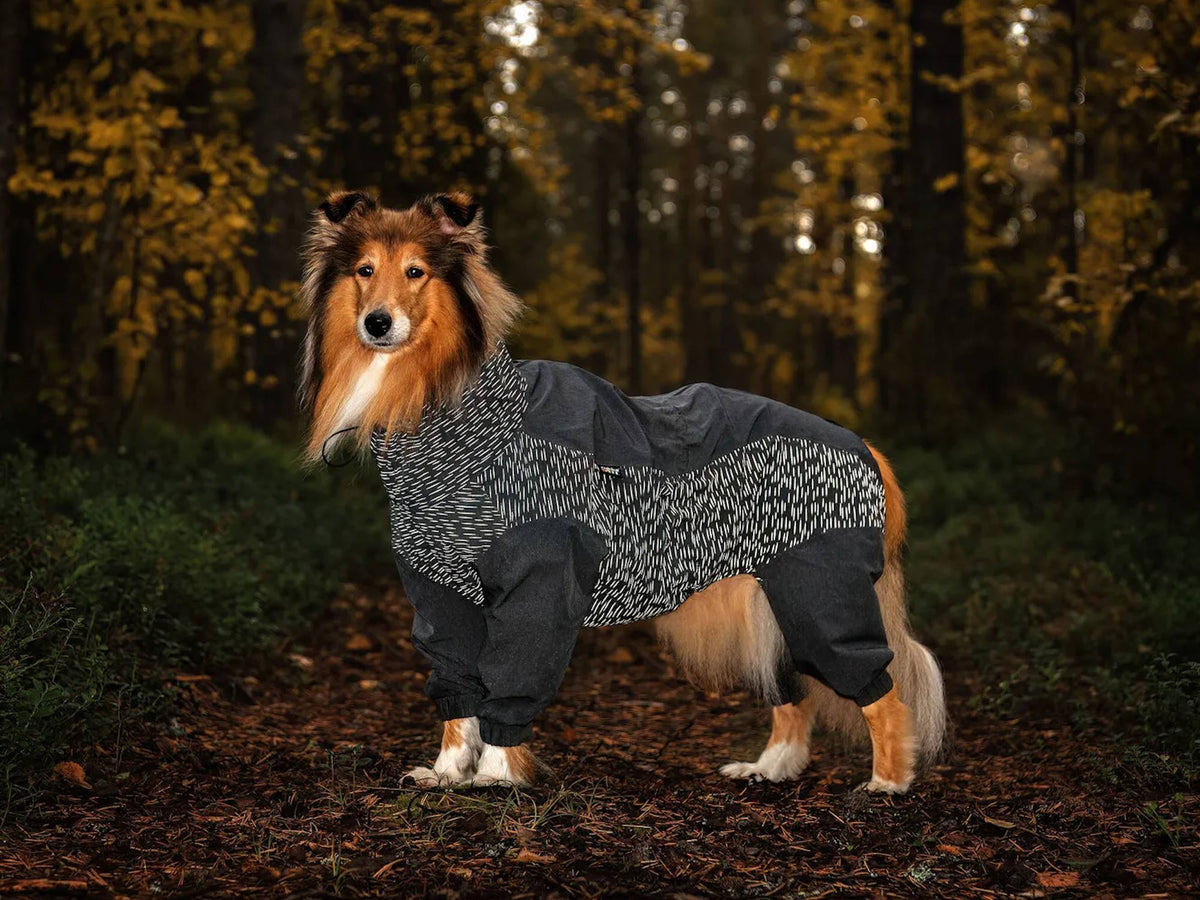 Rukka Pets Hundemantel Regen Overall Flash Grau
