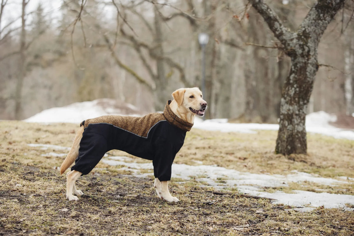 Rukka Pets Hundemantel Subrima Overall Grün