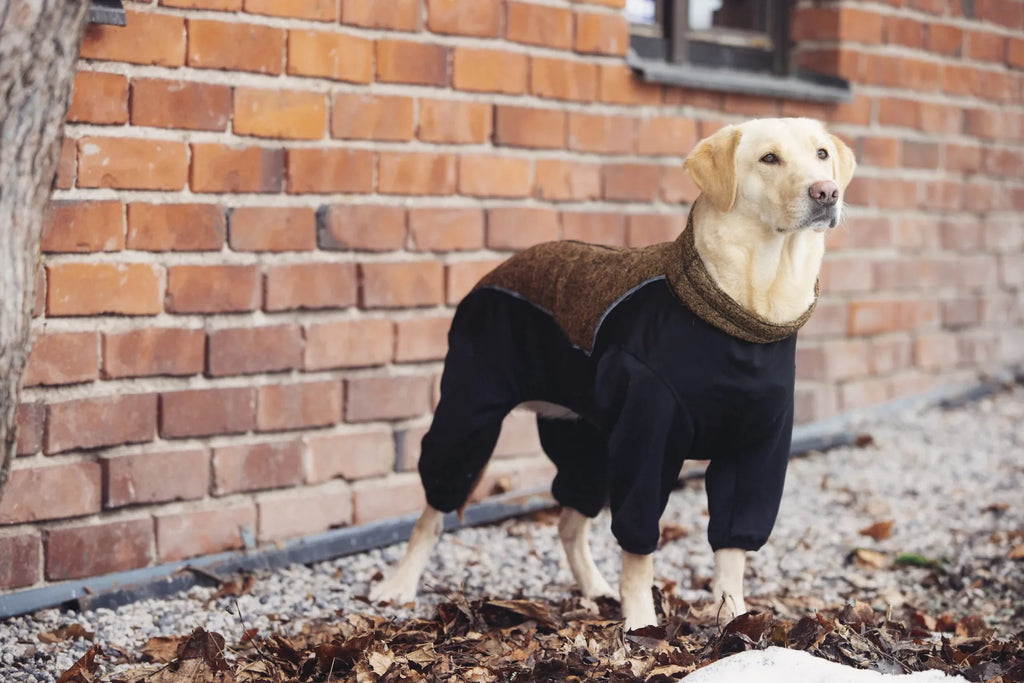 Rukka Pets Hundemantel Subrima Overall Grün