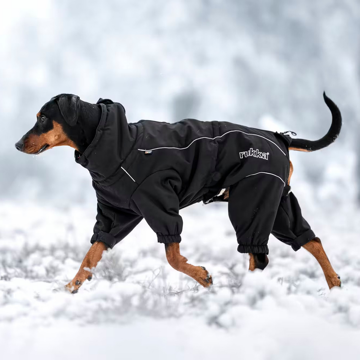 Rukka Pets Hundemantel Thermal Overall 2.0 Schwarz