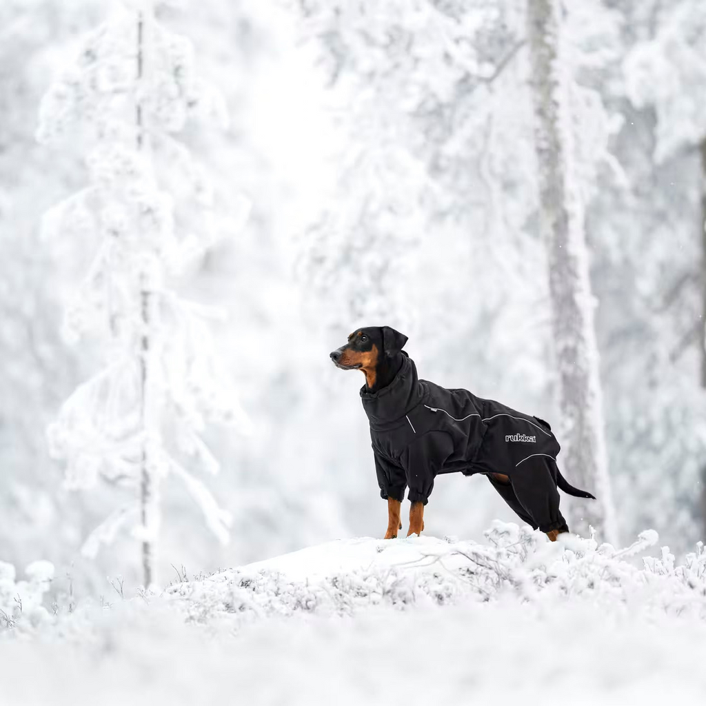 Rukka Pets Hundemantel Thermal Overall 2.0 Schwarz