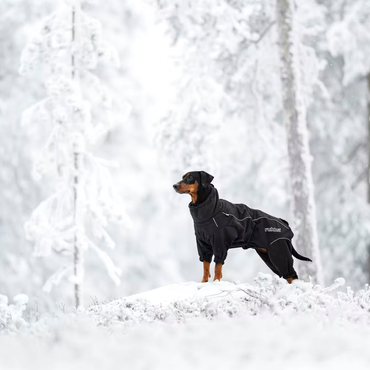 Rukka Pets Hundemantel Thermal Overall 2.0 Schwarz