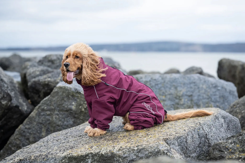 Rukka Pets Hundemantel Thermal Overall Burgunder