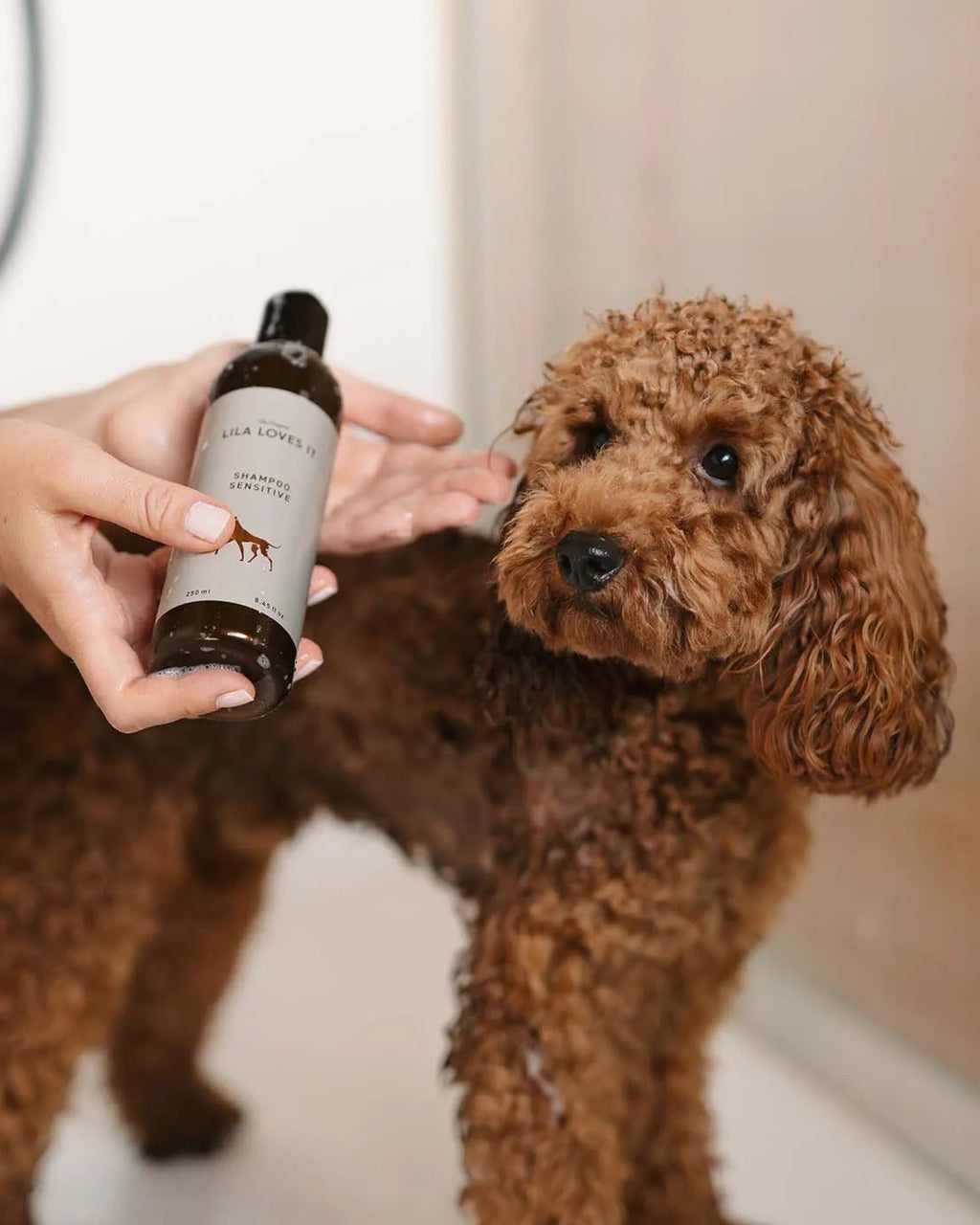 LILA LOVES IT Sensitive Shampoo