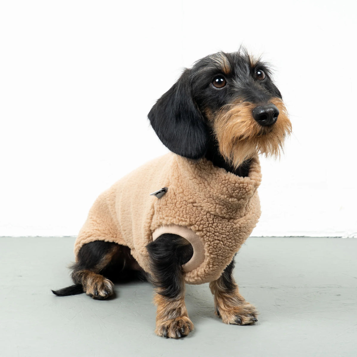 Karma Hund Teddy Shirt DACKEL Sand Beige