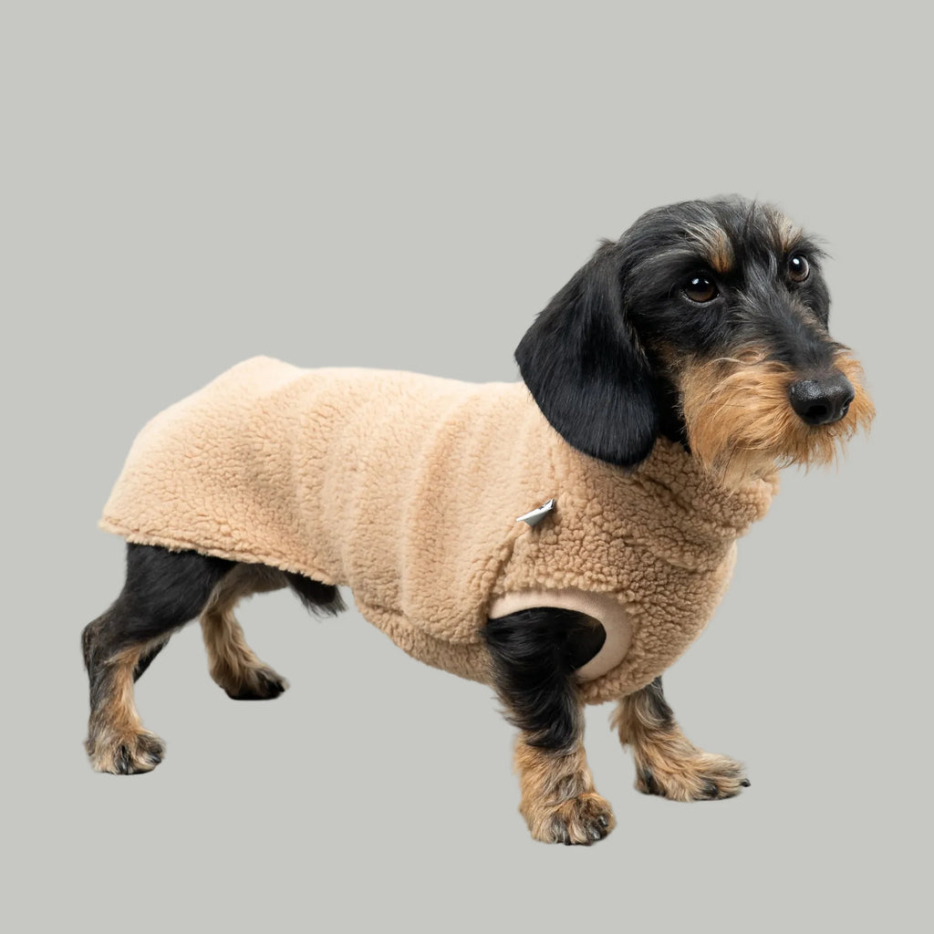 Karma Hund Teddy Shirt DACKEL Sand Beige