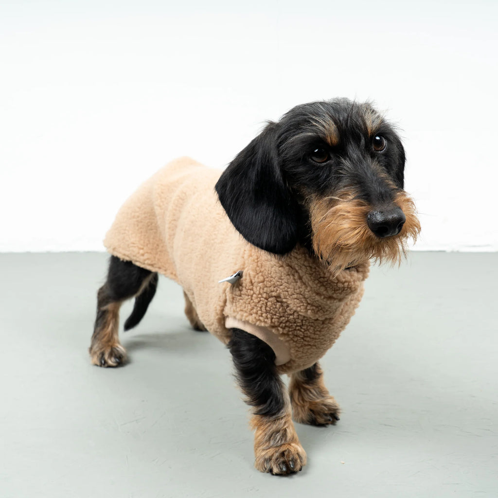 Karma Hund Teddy Shirt DACKEL Sand Beige