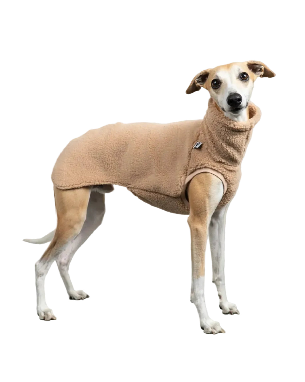 Karma Hund Teddy Shirt WINDHUND Sand Beige
