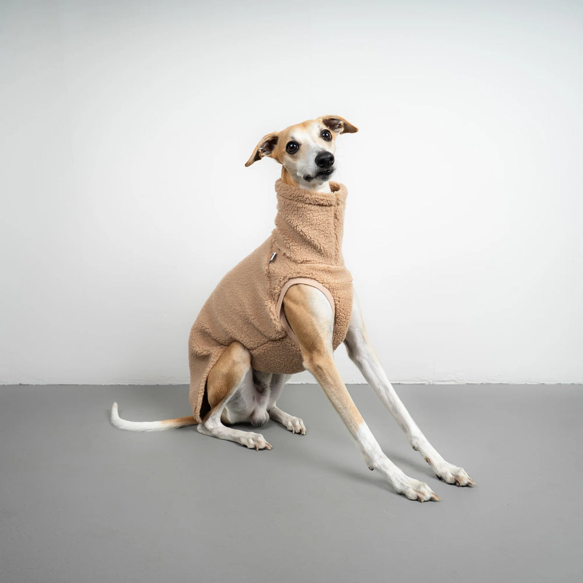 Karma Hund Teddy Shirt WINDHUND Sand Beige
