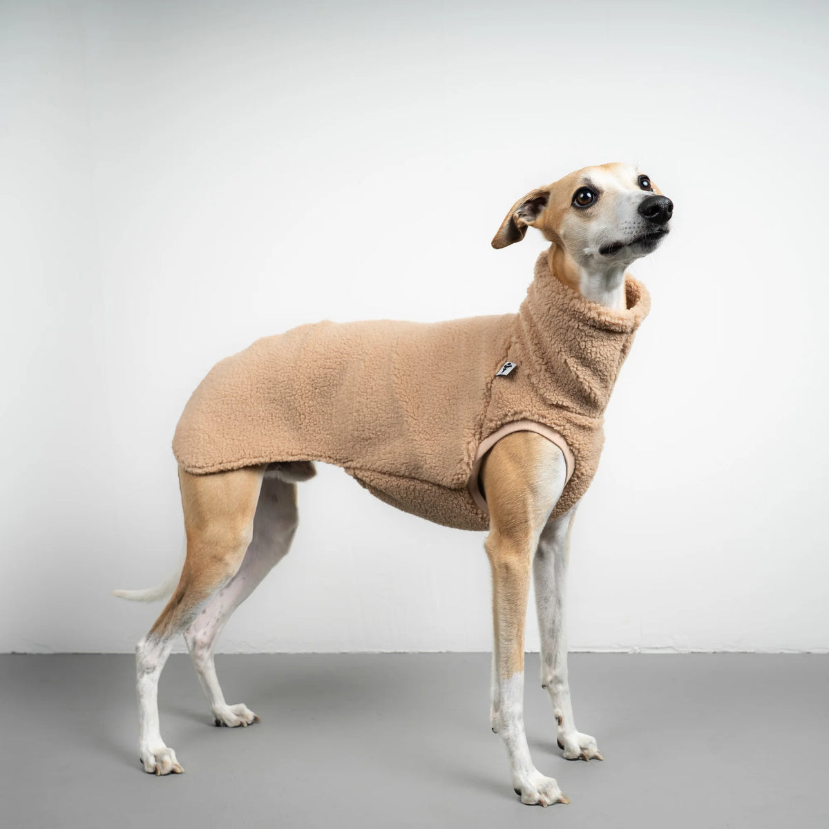 Karma Hund Teddy Shirt WINDHUND Sand Beige