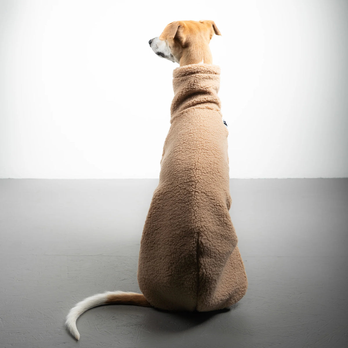 Karma Hund Teddy Shirt WINDHUND Sand Beige