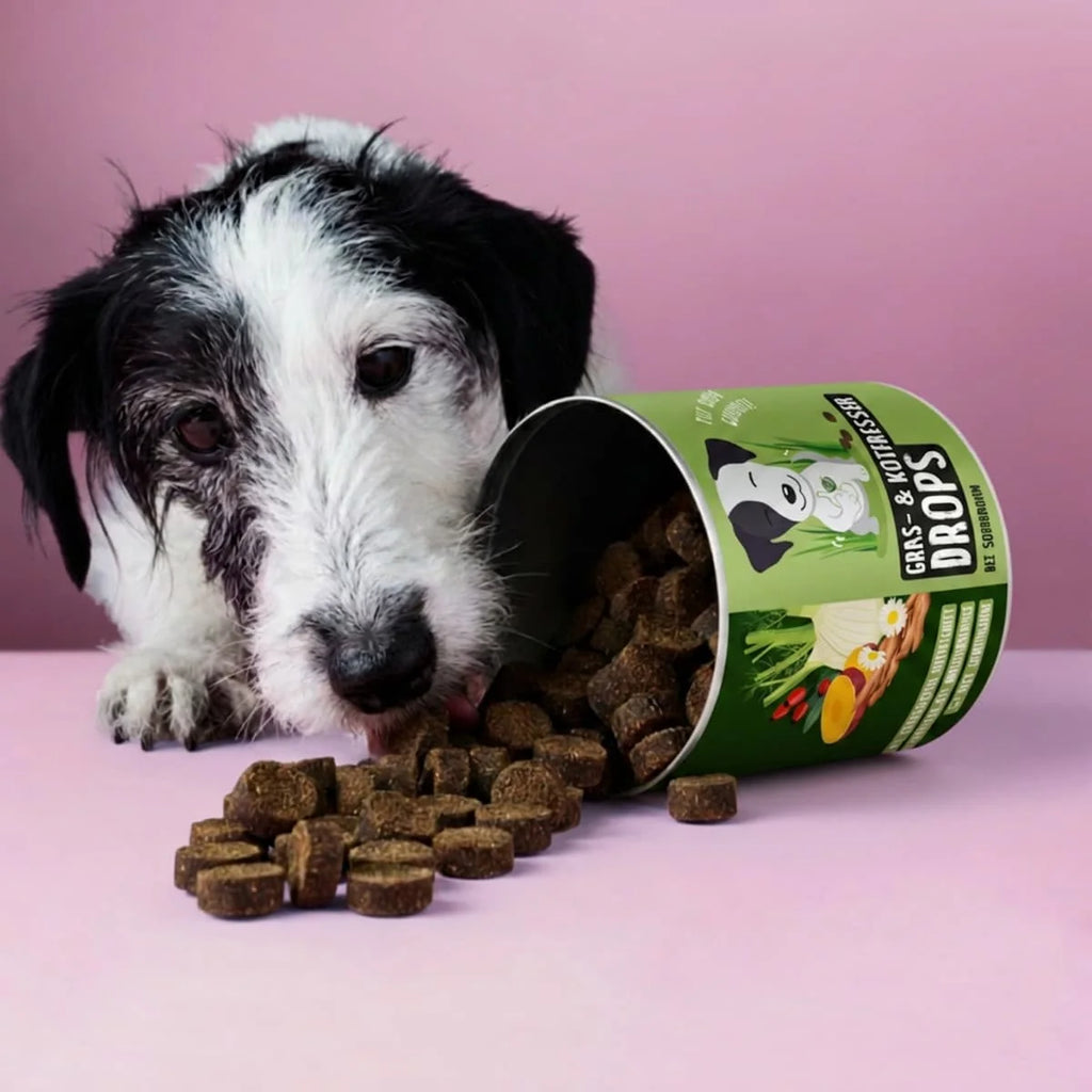 Pet-Friendly Grass and Poop-Eating Drops