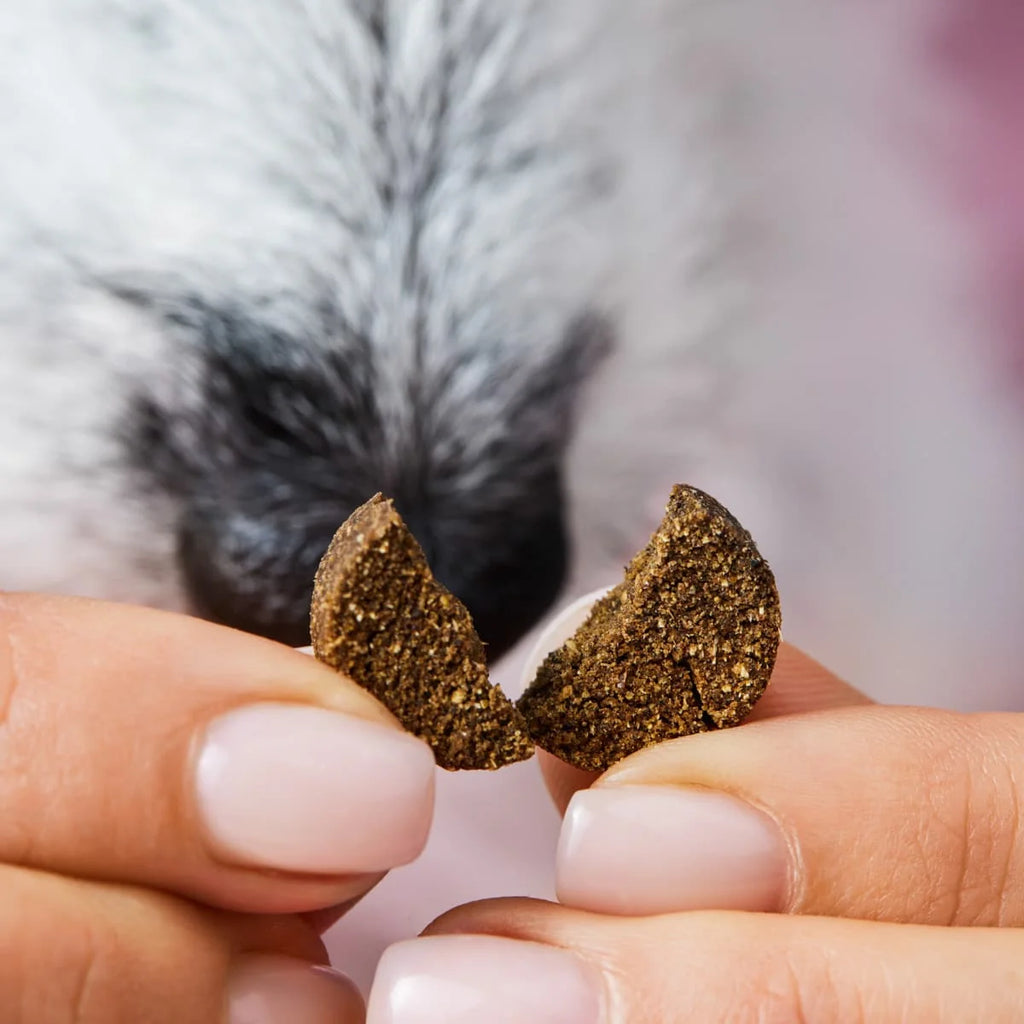 Pet-Friendly Grass and Poop-Eating Drops