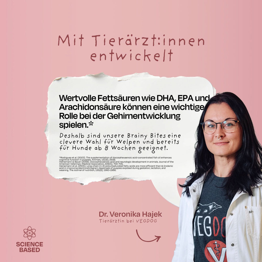 VEGDOG Leckerli Brainy Bites