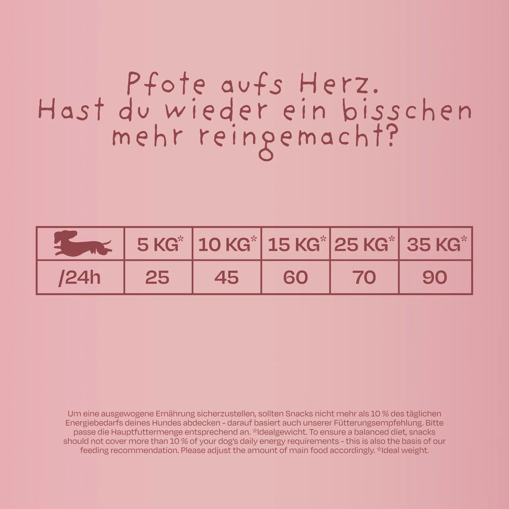 VEGDOG Leckerli Brainy Bites