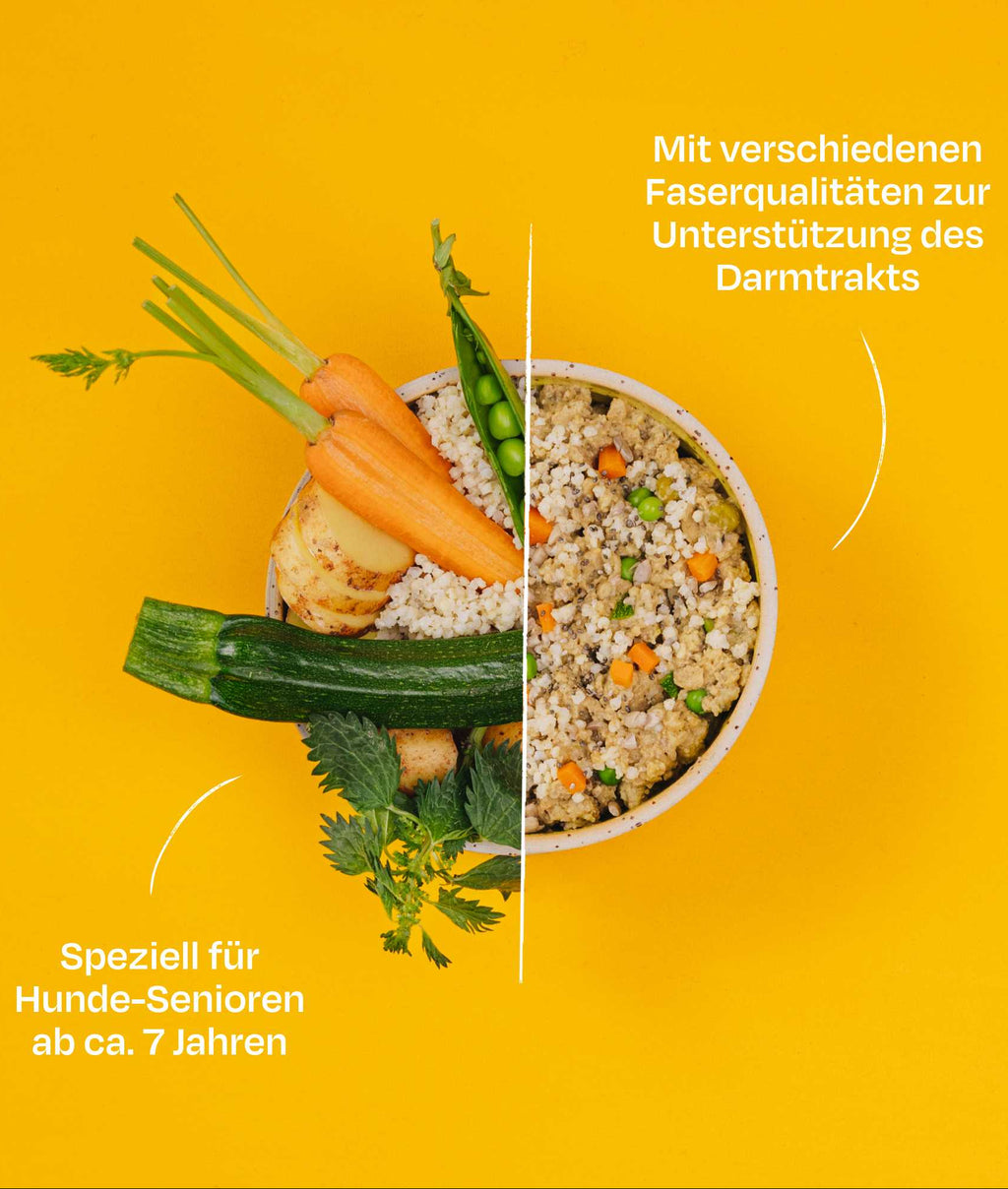 VEGDOG Veganes Nassfuttermenü Senior Erbsen & Hirse