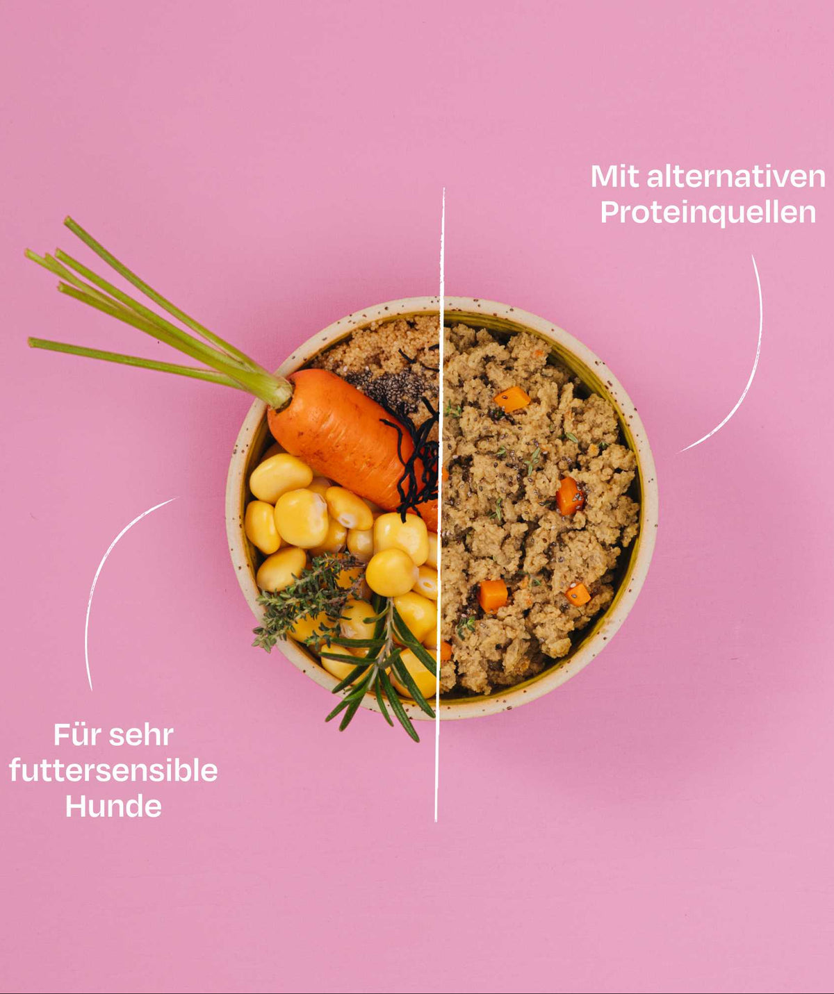 VEGDOG Veganes Nassfuttermenü Adult Sensitive Linsen & Hirse