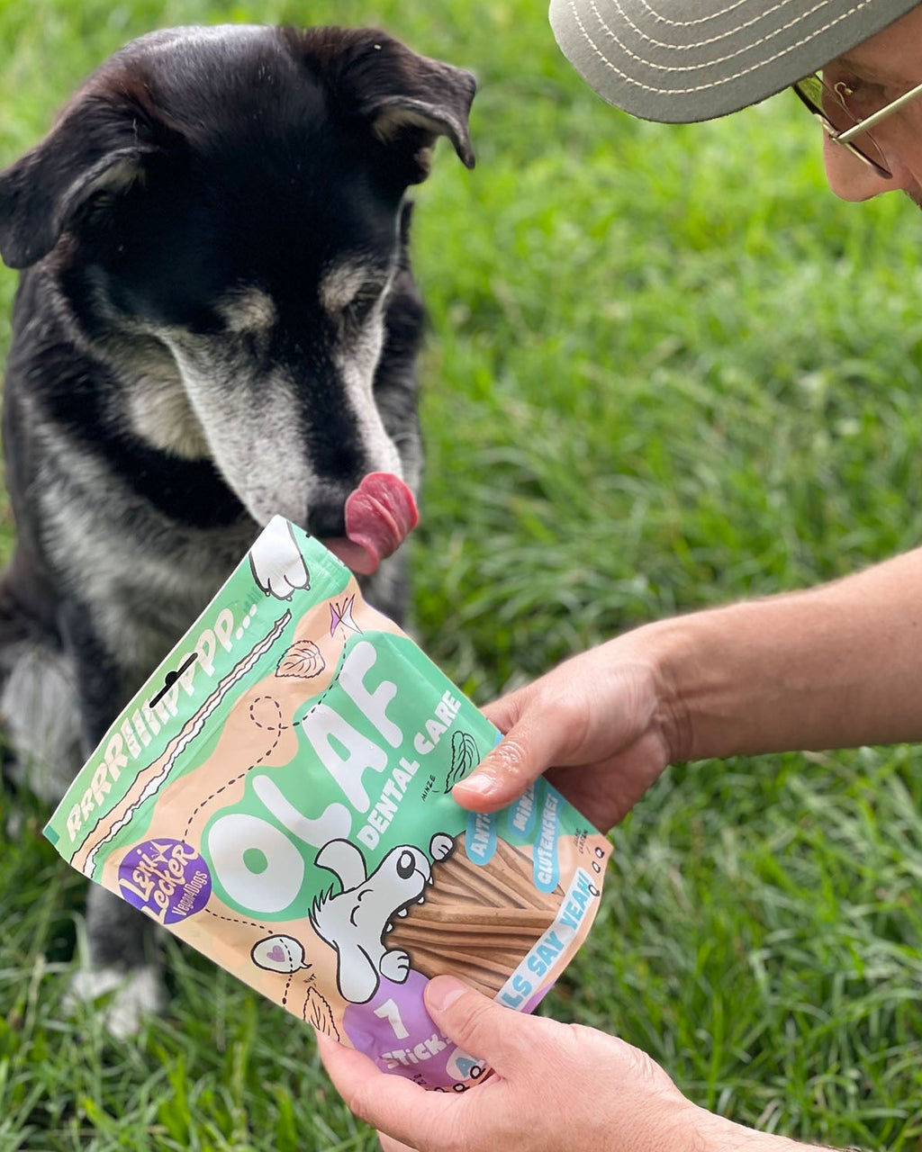 Vegan4Dogs Dentalsticks Olaf