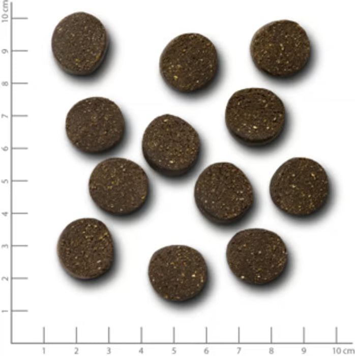 Wildes Land Snack 2in1 Belly