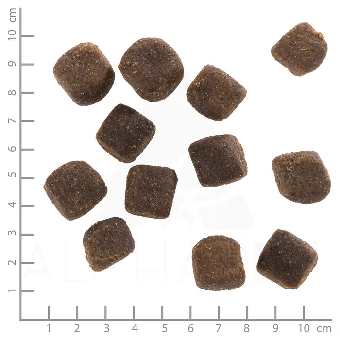 Wolfsblut Leckerlis Squashies Dark Forest Wild
