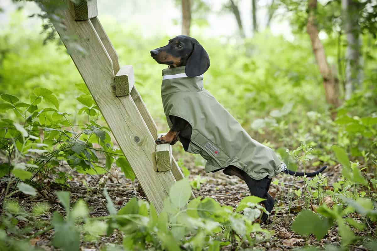 Wolters Hundemantel Outdoorjacke Modern Classic DACKEL Oliv