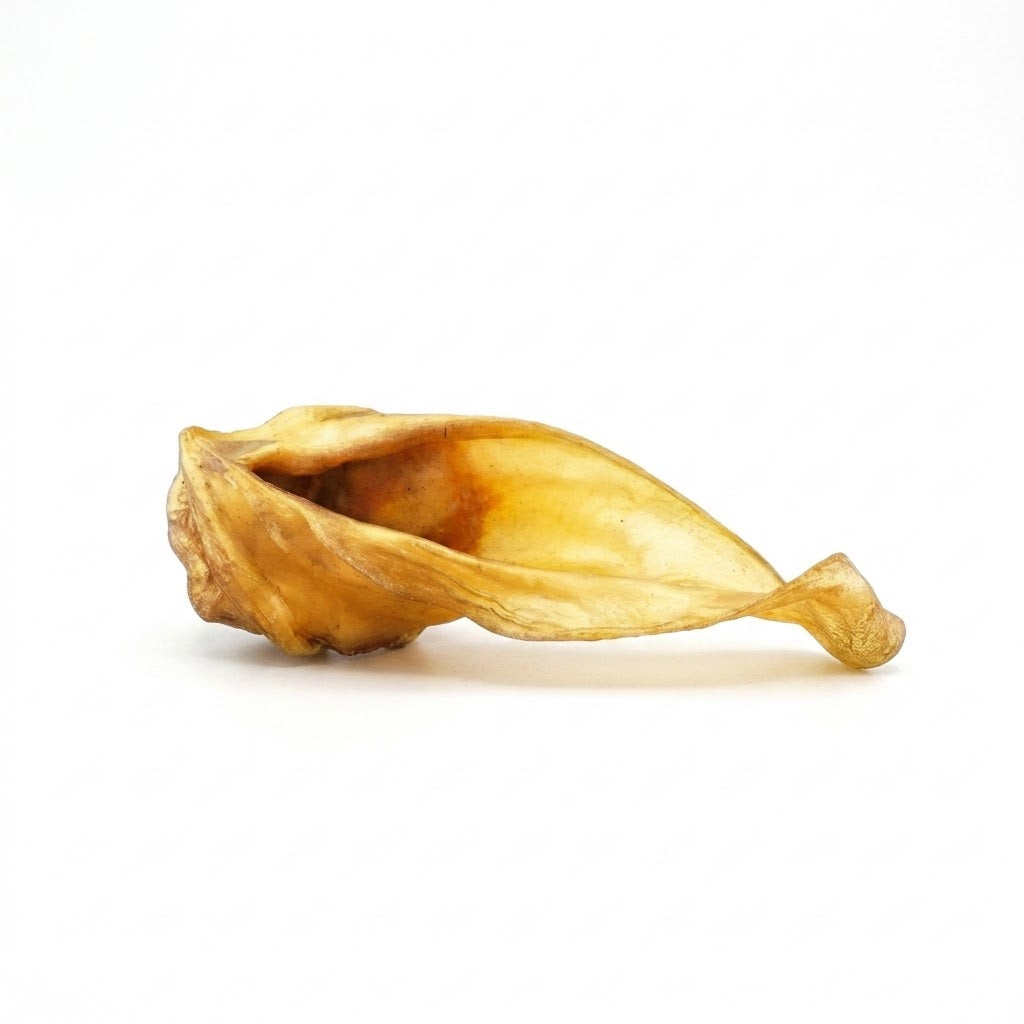 Rinder Ohren
