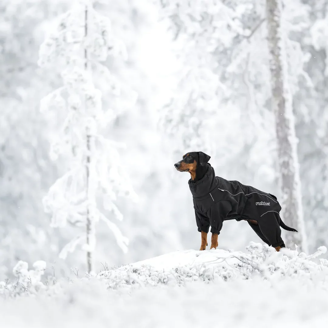 Hundemantel Thermal Overall - Rukka Pets - Kiezhund Berlin