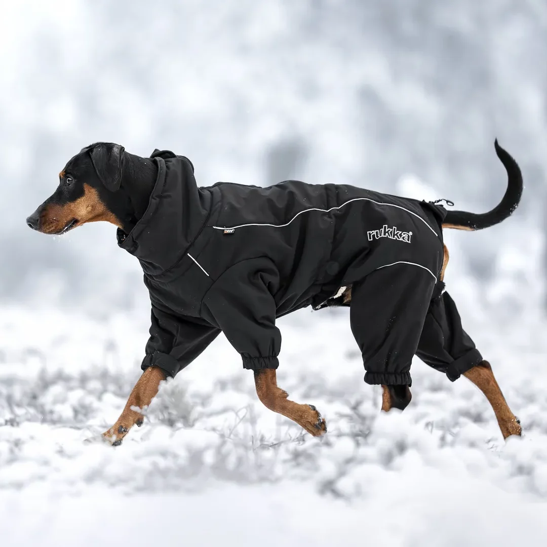 Hundemantel Thermal Overall - Rukka Pets - Kiezhund Berlin