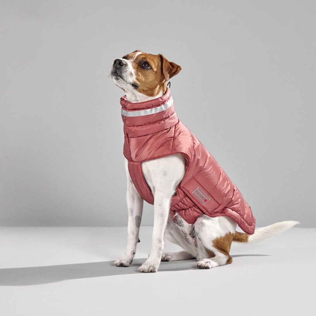 Steppjacke Cosy Rost Rot - Wolters - Hundebekleidung - Kiezhund